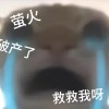 得吃（萤火突击）