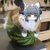 ⃢。⃢。⃢。_536