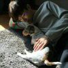 羊家里的狗屎