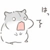 仓鼠老大