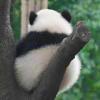 无限进步