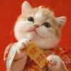 随风前行