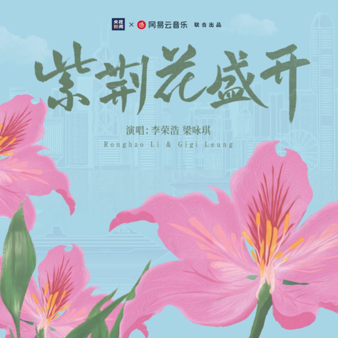 紫荆花盛开
