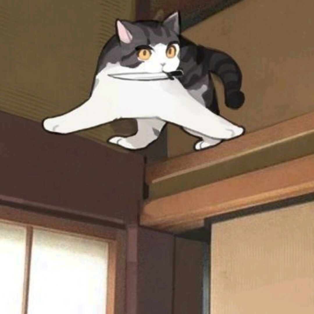 星风宿月