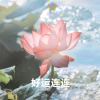 乾元洞咸鱼妙
