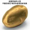 范德萨
