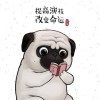 瑜叶楸