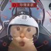 李梓嘉_864