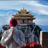 榆木不可雕也