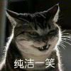 贼没鼠演