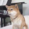 命运总是颠沛