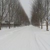 犯难图远