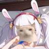 23232323333、的头像-魔酷网