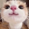 蓝溪的头像-【TITAIKE】T太科网