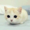 丶逗