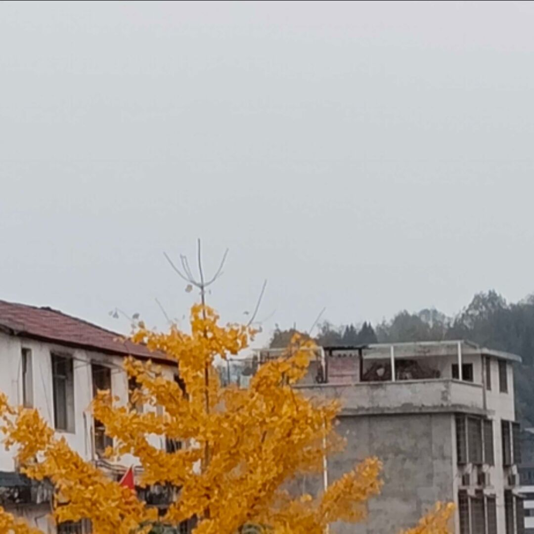 摆烂_808