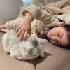 窝系⁦小鱼