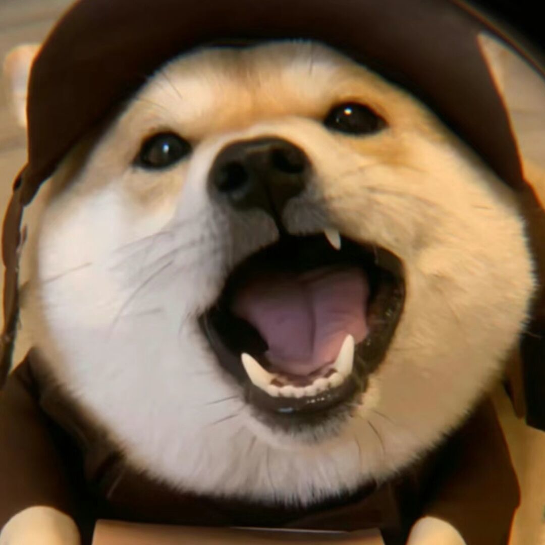 月g