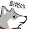 zzzyyyccc-iRightNow-游戏联机社区