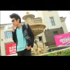 Dove_611