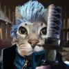 VeonmCat