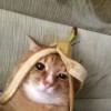 木村拓哉