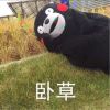 丶神秘高手