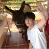 洋洋的头像 - 极核GetShell