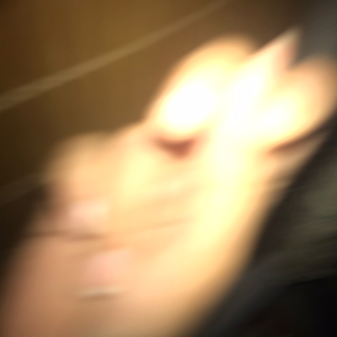 HyZsSc