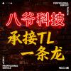 aa八爷科技承接TL一条龙的头像-挑战资源库