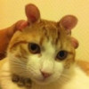 俗人_451