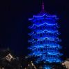 XIAOYU的头像_Qpipi
