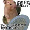 极核Getshell的头像 - 极核GetShell