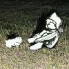 陶眠