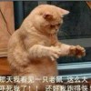图书