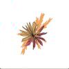 Sun Flowers的头像-七玩网