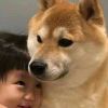恶