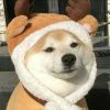 user icon