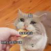 JOJO-cg男孩