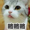 β_523