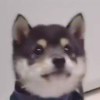 ConneR
