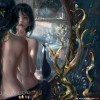 一如既往