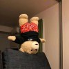 微风轻轻悲伤