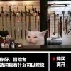 小蘇
