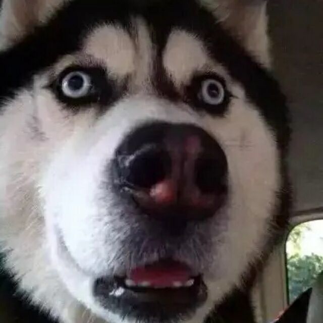 乐不思蜀的钢琴谱