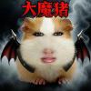 胖猫女王驾到