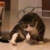 duyin的头像-【TITAIKE】T太科网