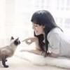 嗨丶花猫