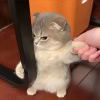 13562966456阿达的头像-【TITAIKE】T太科网