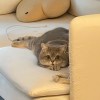 用户27396652的头像-iPA资源站